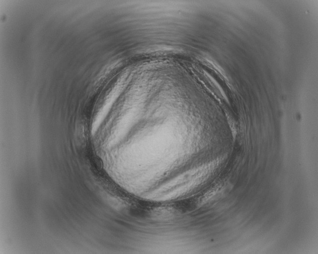 X0000072980119200608111751