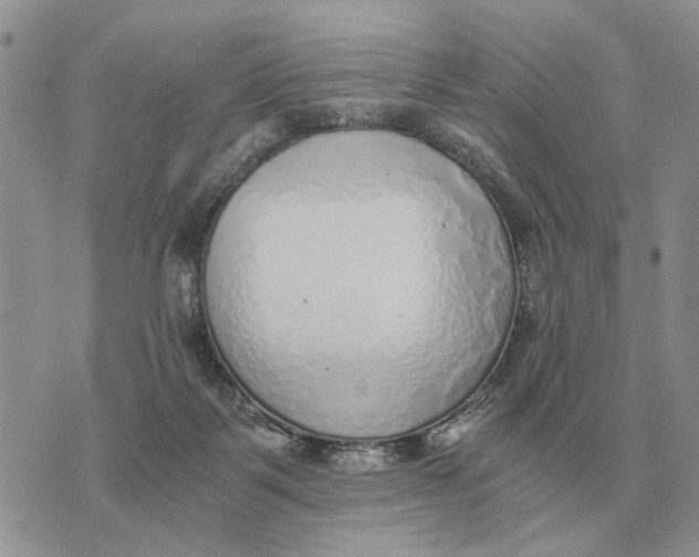 X0000072980123200608111751