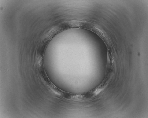 X0000072980125200608111751