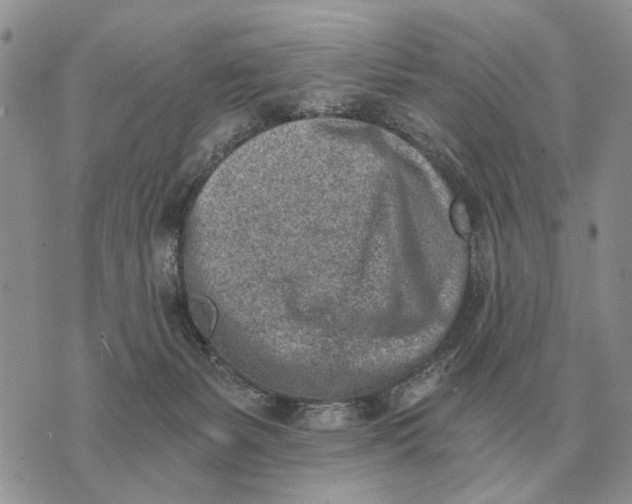 X0000072980127200608111751