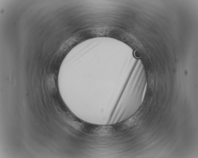 X0000072980128200608111751