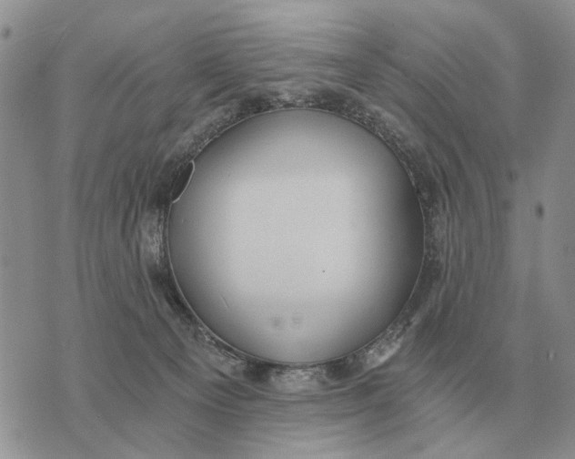 X0000072980129200608111751