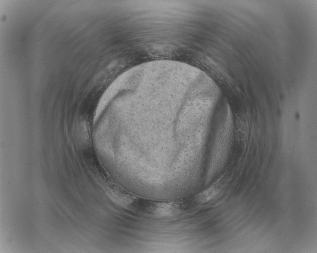 X0000072980130200608111751