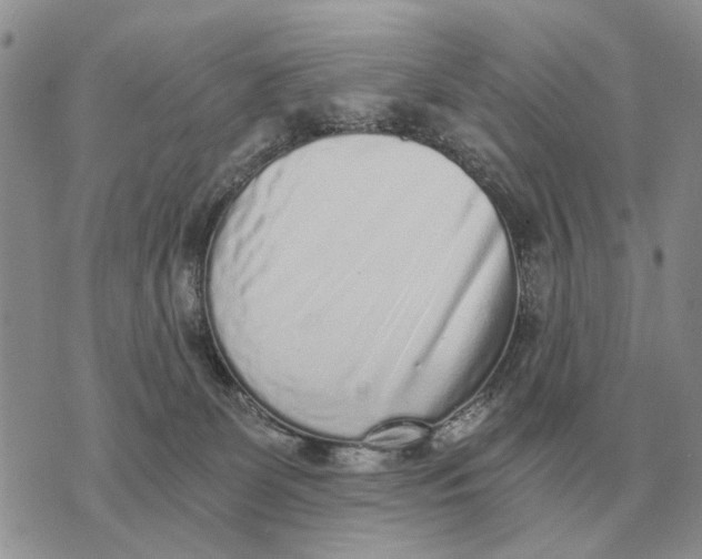 X0000072980131200608111751