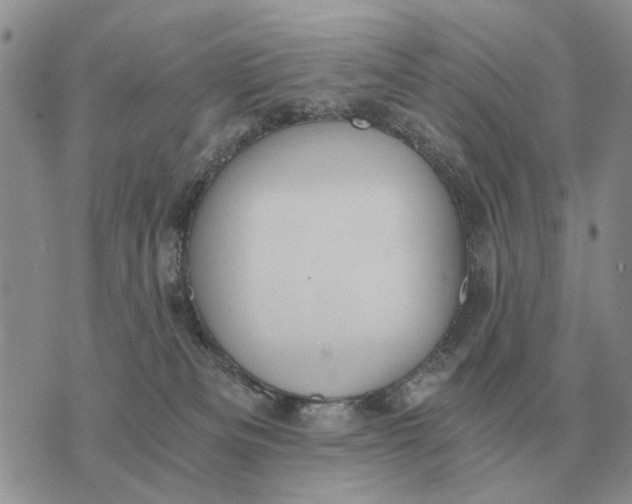 X0000072980133200608111751