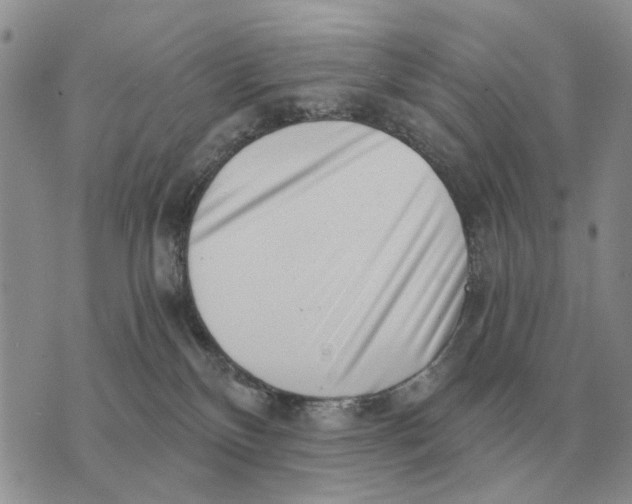 X0000072980136200608111751