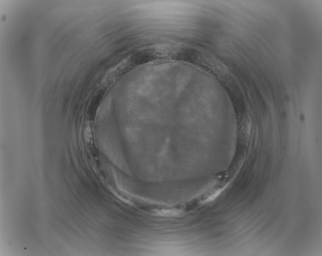 X0000072980137200608111751