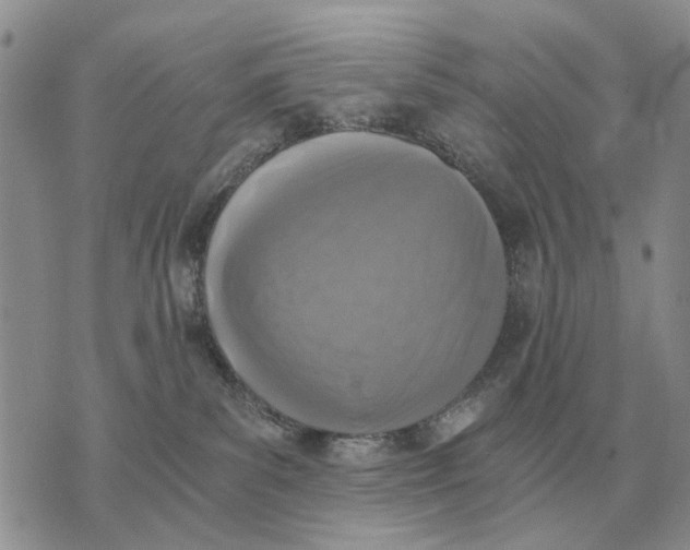 X0000072980139200608111751