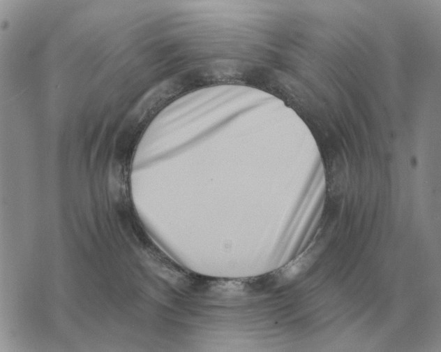 X0000072980140200608111751