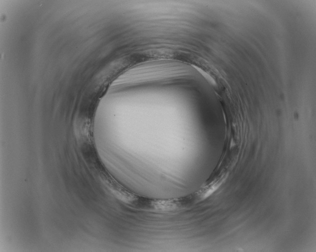 X0000072980141200608111751