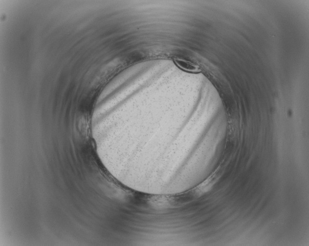 X0000072980142200608111751