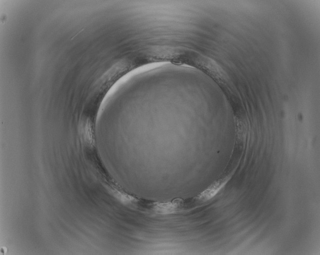 X0000072980143200608111751