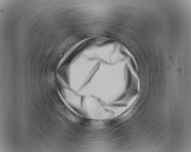 X0000072980144200608111751