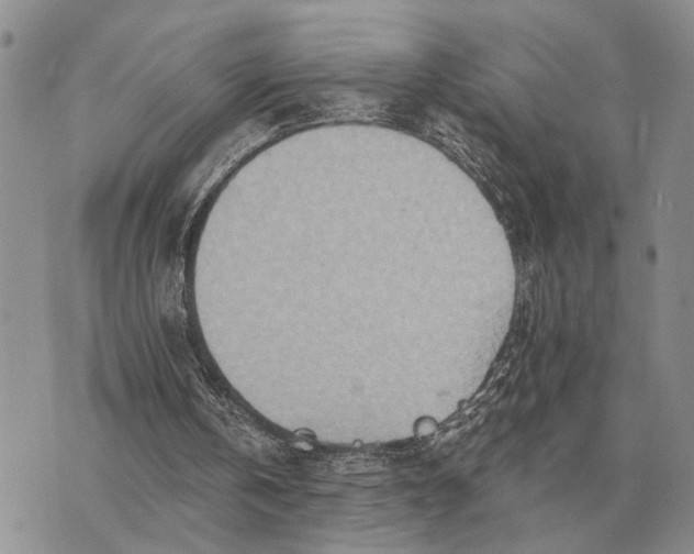 X0000072980146200608111750