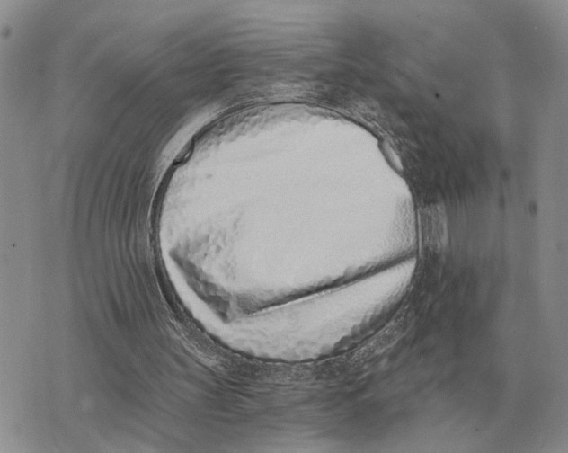 X0000072980147200608111750