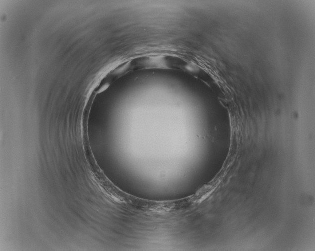 X0000072980148200608111750