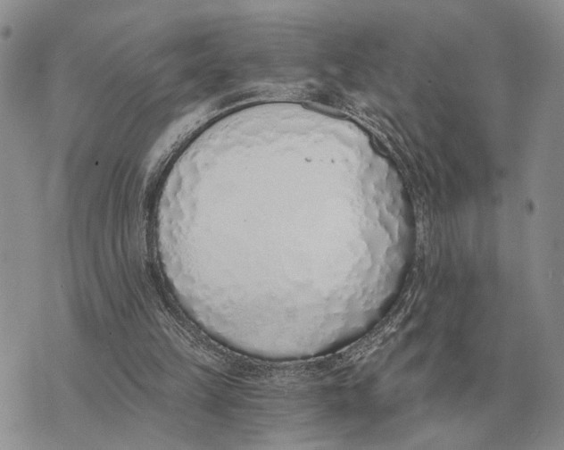 X0000072980149200608111750