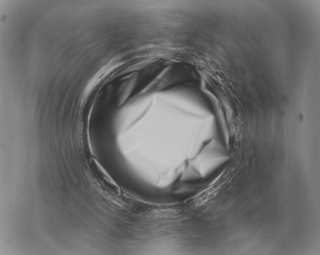 X0000072980150200608111750