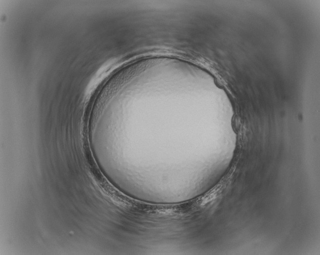 X0000072980151200608111750