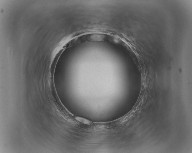 X0000072980152200608111750