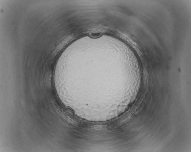 X0000072980153200608111750