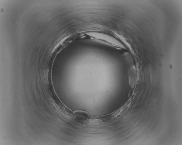 X0000072980154200608111750