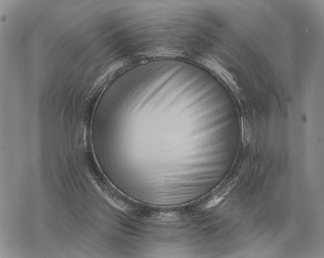 X0000072980157200608111750