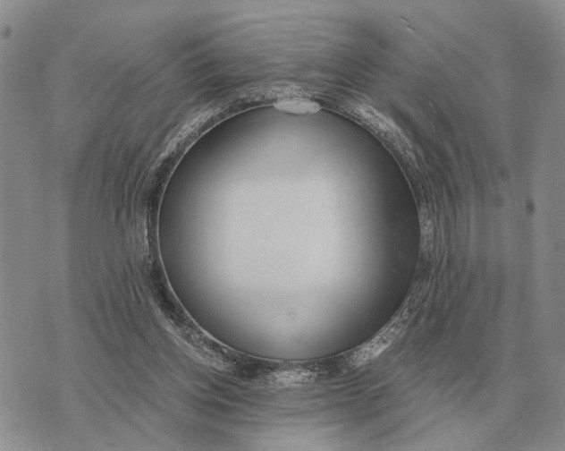 X0000072980158200608111750