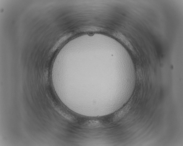 X0000072980159200608111750