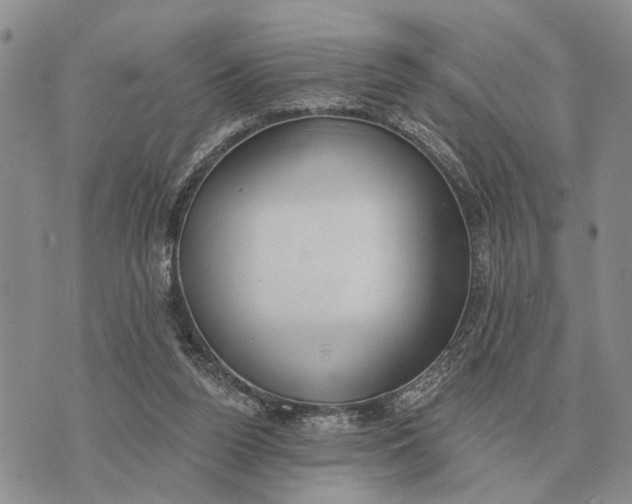 X0000072980160200608111750