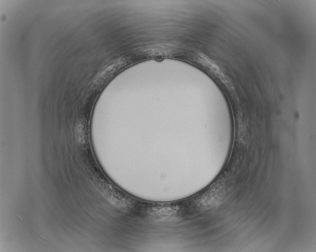 X0000072980161200608111750