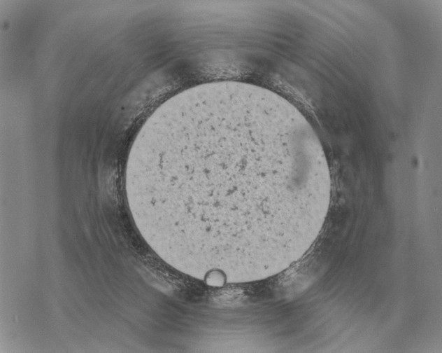 X0000072980162200608111750