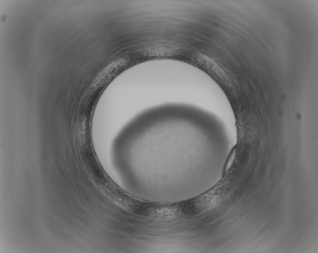 X0000072980163200608111750