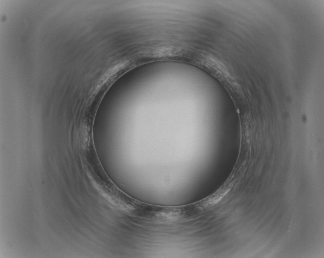 X0000072980164200608111750