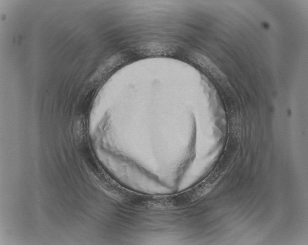 X0000072980165200608111750