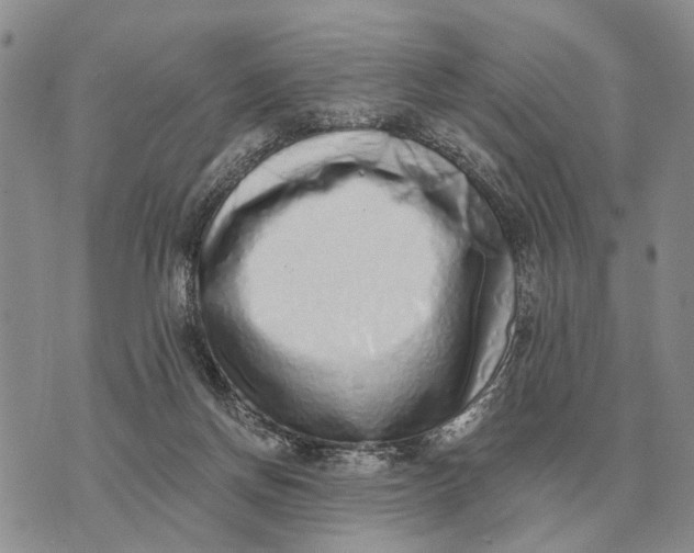 X0000072980166200608111750