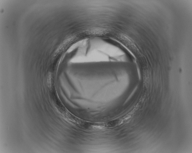 X0000072980167200608111750