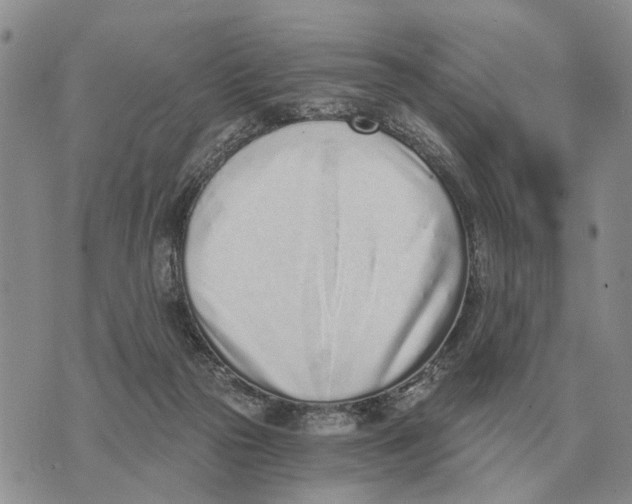 X0000072980169200608111750