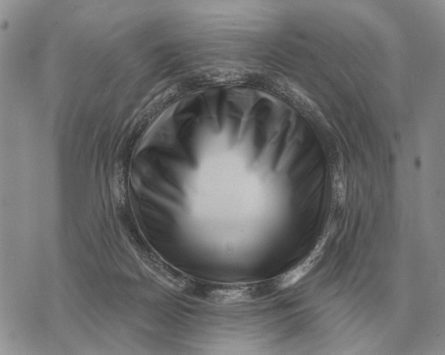 X0000072980170200608111750