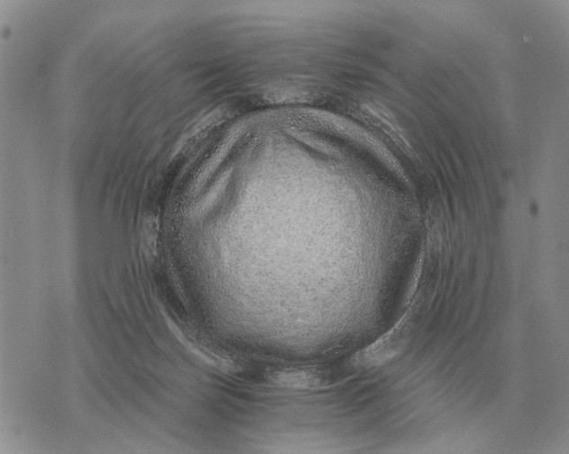 X0000072980171200608111750