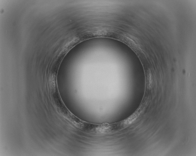 X0000072980172200608111750