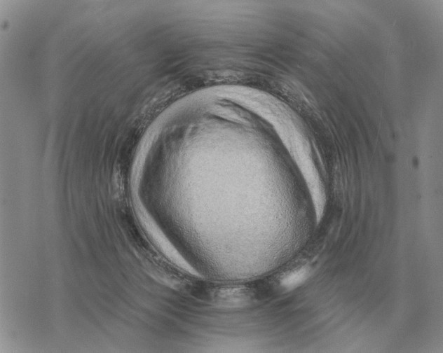 X0000072980173200608111750