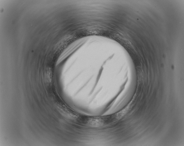 X0000072980174200608111750