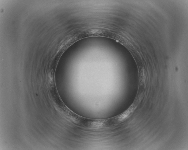 X0000072980176200608111750