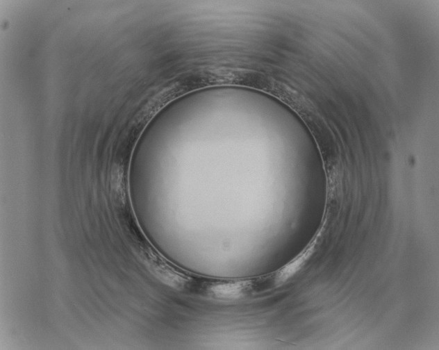 X0000072980178200608111750