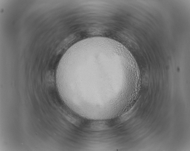 X0000072980179200608111750