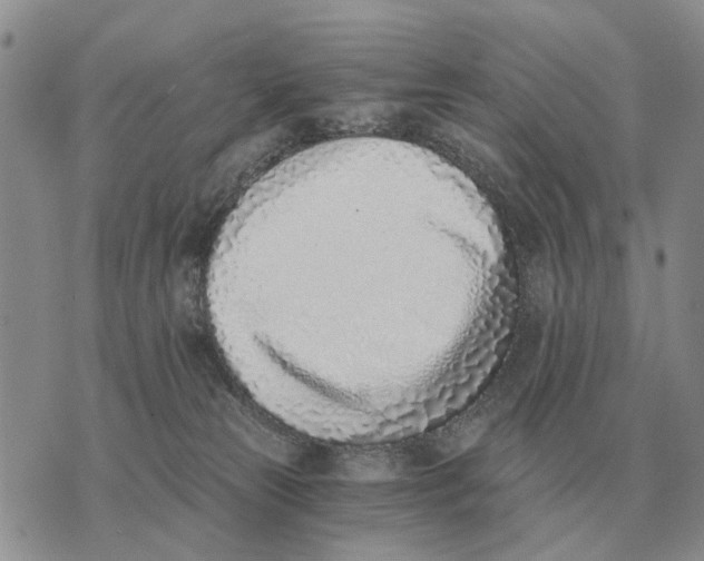 X0000072980181200608111750