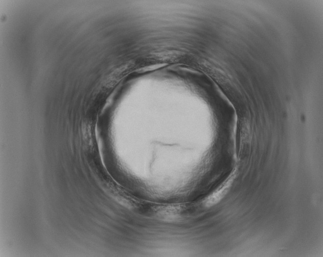 X0000072980182200608111750