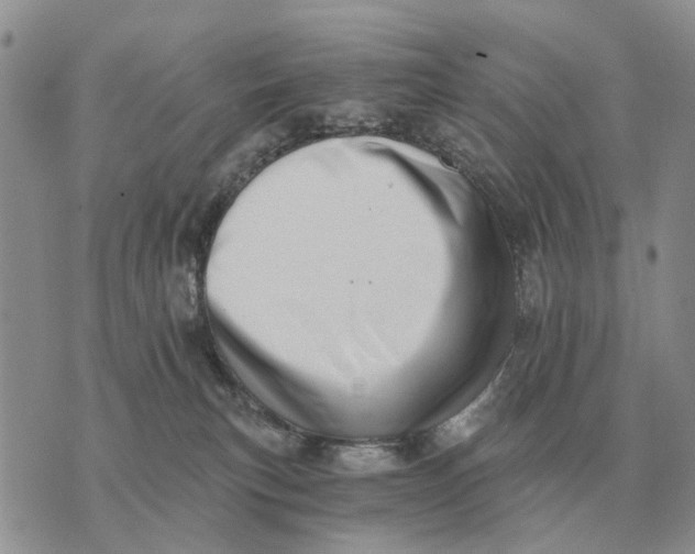 X0000072980183200608111750