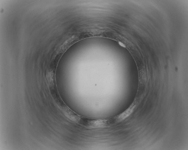 X0000072980184200608111750